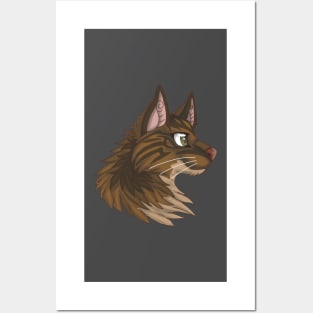 Light Brown Maine Coon Posters and Art